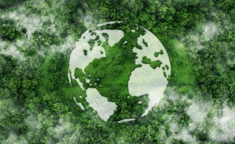 Sustainability-Report-web-image-languages